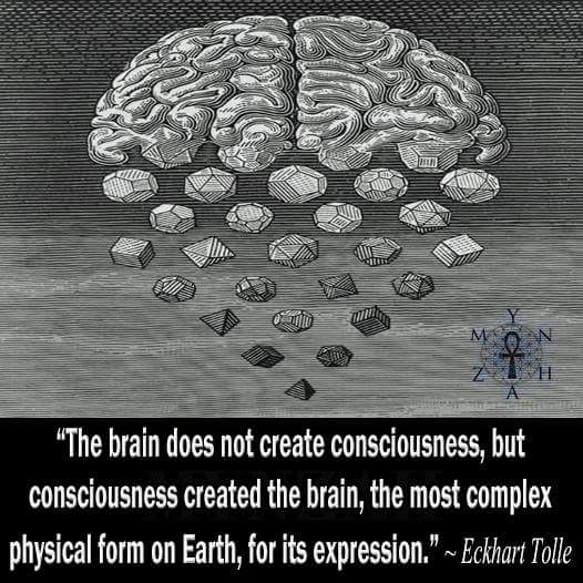 Chapter 3- Consciousness – Logoi Library