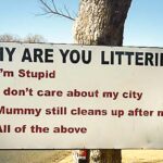 why-India-is-not-clean-littering